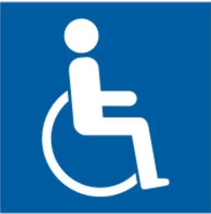 dizabilitati